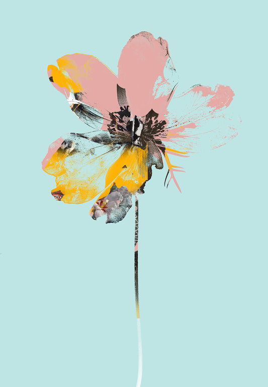 Wakin on a Pretty Day