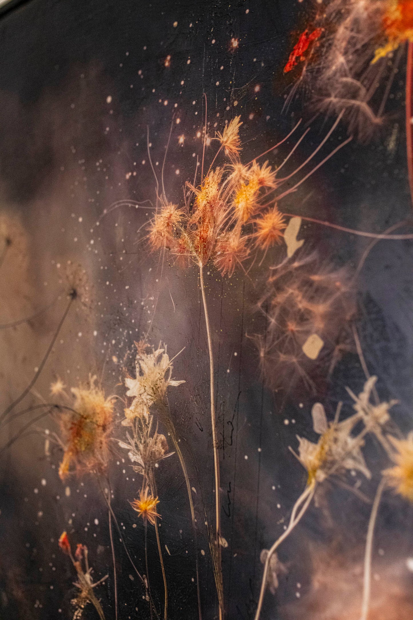 Wildflower Sparks III