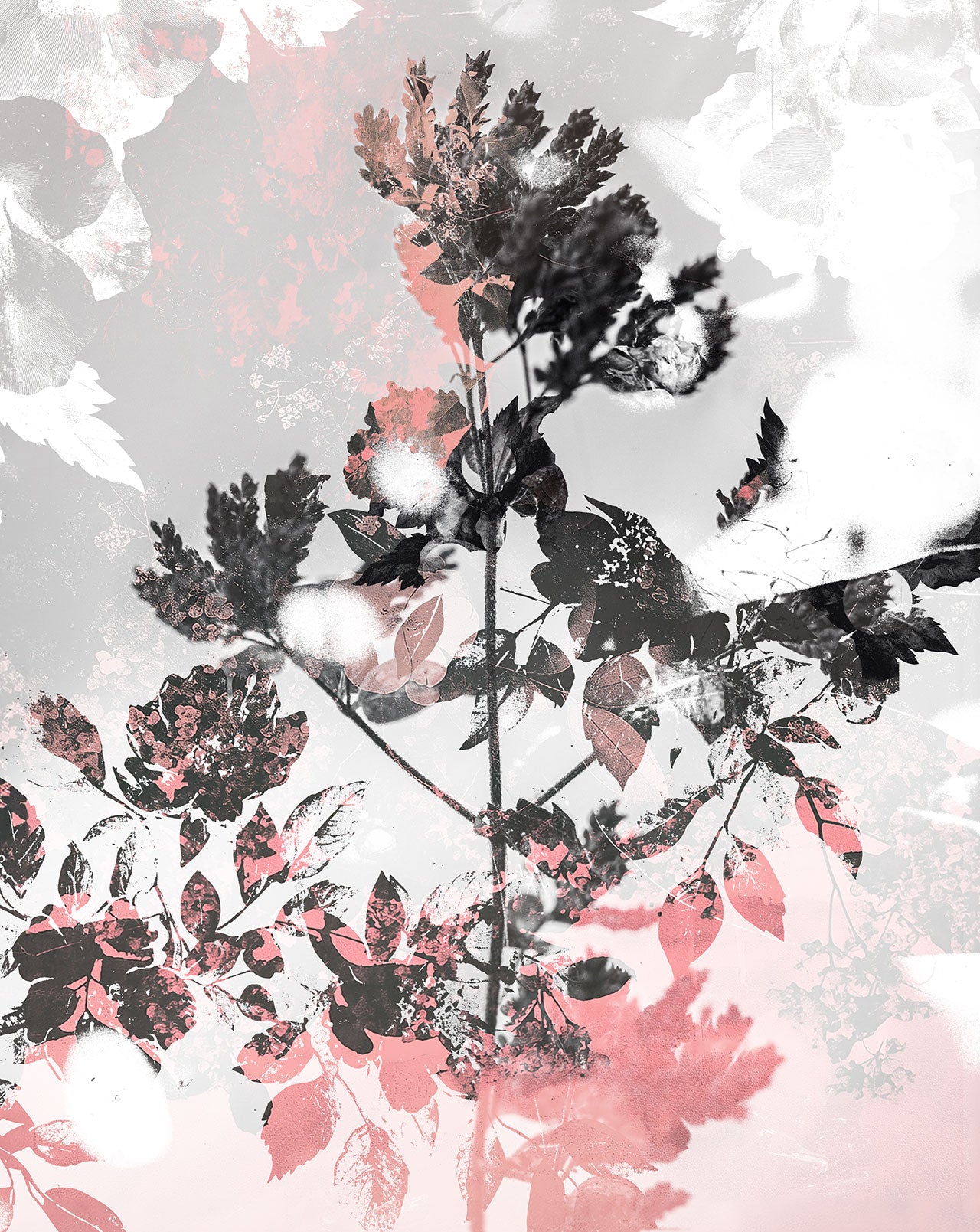 Mezmerized - Satin Poster